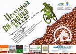 II-Dh-casta&#241;ada-imprimir-cartel 2.jpg