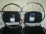 2013-10-29-454_1.jpg