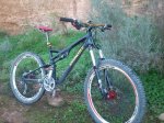 Ultima stumpy (800x600).jpg