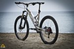 ancillotti-fry-275-2014-3.jpg