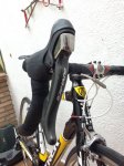 TREK (2).JPG