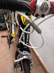 TREK (8).JPG
