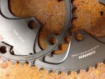 TREK (14).JPG