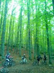 IMG_20131026_125411.jpg