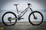 ancillotti-fry-275-2014-1.jpg