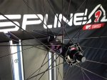 spline1-2014.jpg
