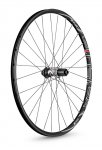 spline1-2014-4.jpg