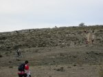 IMG_3615.JPG