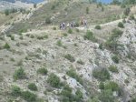 IMG_3620.JPG