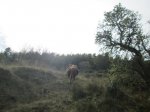 IMG_3686.JPG