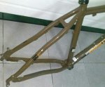 IMG_20131103_005853.jpg