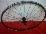 IMG-20131030-00415.jpg