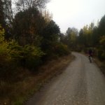 IMG_8310.jpg