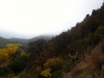 IMG_8349.JPG