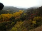 IMG_8351.JPG