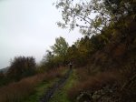 IMG_8364.JPG