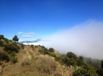 IMG_8383.JPG