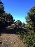IMG_8394.jpg