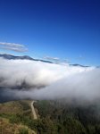 IMG_8397.jpg