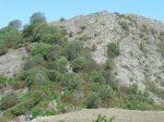 dsc04493.jpg
