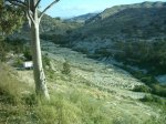 27-5-07 003.jpg