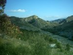 27-5-07 004.jpg