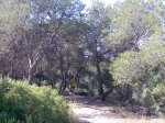 Imagen042.jpg