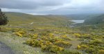 DSC00177.JPG