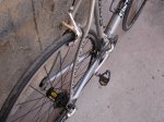 DSC00598.jpg