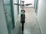 DSC00181.JPG