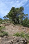 DSC01716.JPG