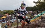 zonhoven_nys.jpg