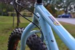 2014-Trek-Farley-Fat-Bike12-600x399.jpg