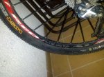 IMG_20131104_201100.jpg