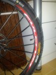 IMG_20131104_201138.jpg