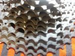 20131105_190631.jpg