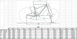 talla giant xtc.JPG