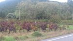 resized_IMG-20131102-WA0015.jpg
