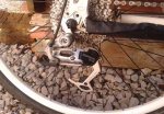 IMG_20131106_120246.jpg