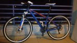 mi bici.jpg