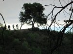 IMG_3744.JPG