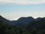 IMG_3761.JPG