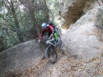 IMG_3765.JPG