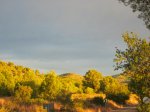 IMG_3742.JPG