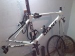 IMG_20131030_193204.jpg