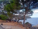 IMG_20131109_110433.jpg