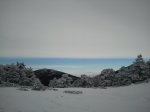 IMG_20131116_113053.jpg