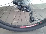 ALMA 4.jpg