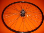 DSC02572.JPG