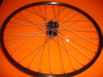 DSC02573.JPG